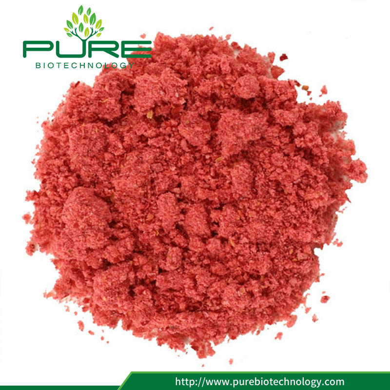Đóng đông khô bột cranberry Freeze Dried Cranberry Powder