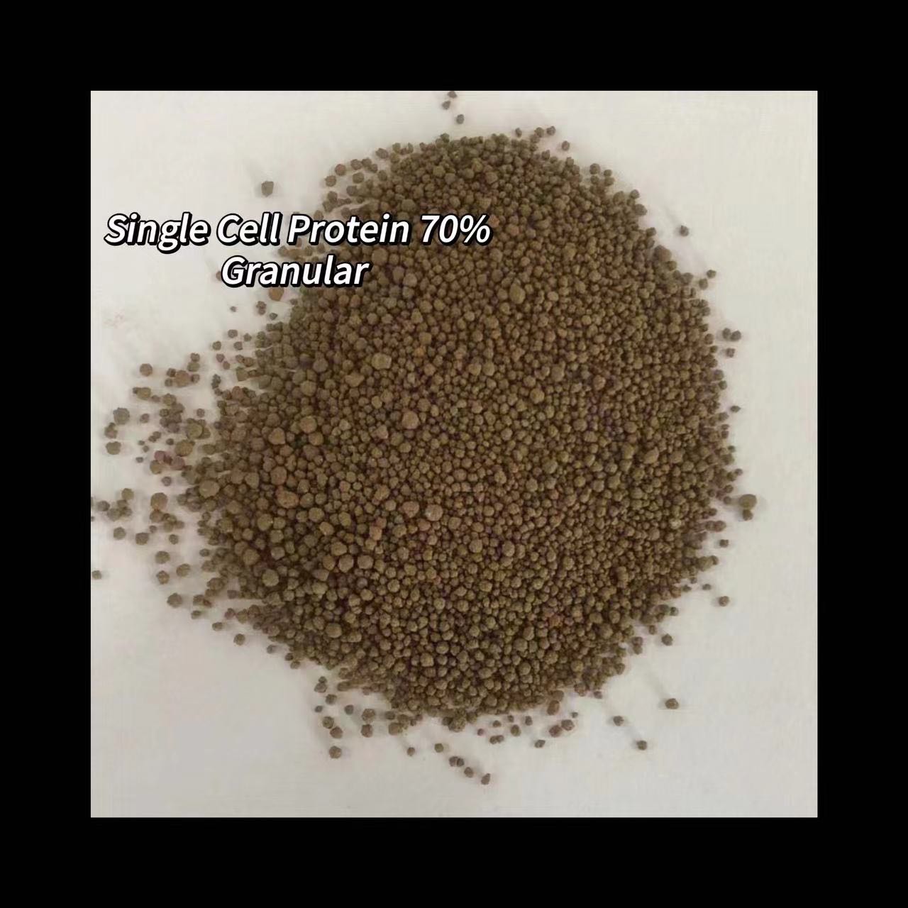 MSG Granular MSG Granular