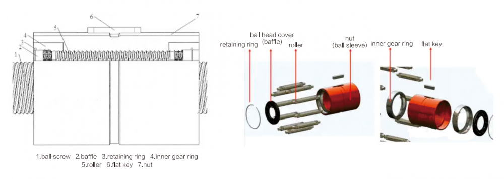 Structure of Planetary Roller Screw Structure of Planetary Roller Screw