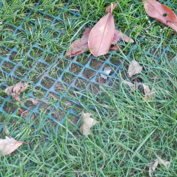 Rasenverstärkungsrasen Turf Reinforcement Lawn