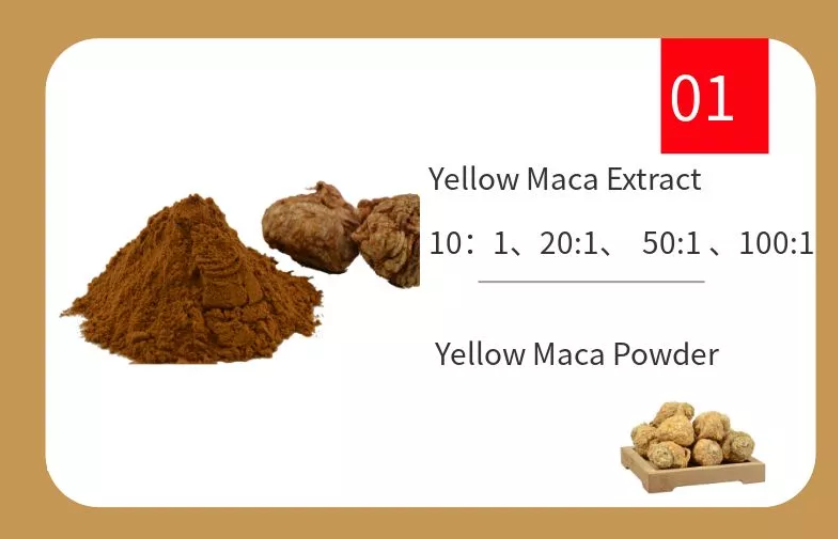 Male Health Black Maca Root Extract Male Health Black Maca Root Extract