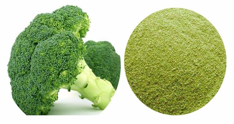 Broccoli Powder Broccoli Powder