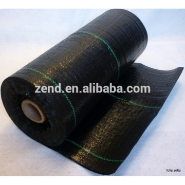 High Quality Nonwowen Pp Woven Weed Mat Ground Cover Weed Barrier Mat For Agriculture China Manufacturer