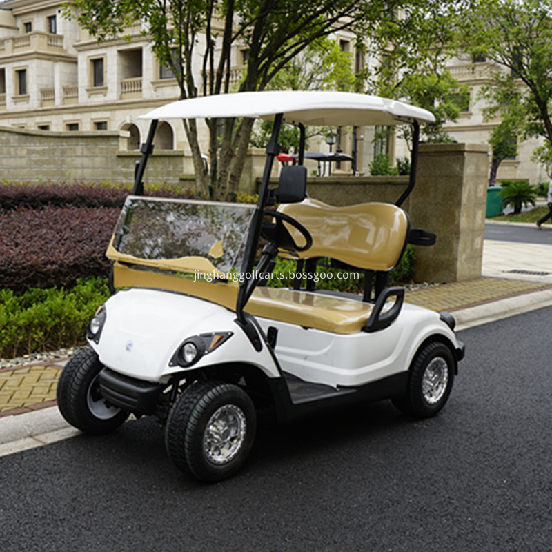 2 Sitz Golfwagen 2 seat golf cart