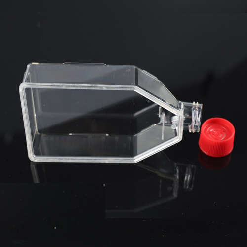 Best T25 cell culture flasks for adherent cells Manufacturer T25 cell culture flasks for adherent cells from China