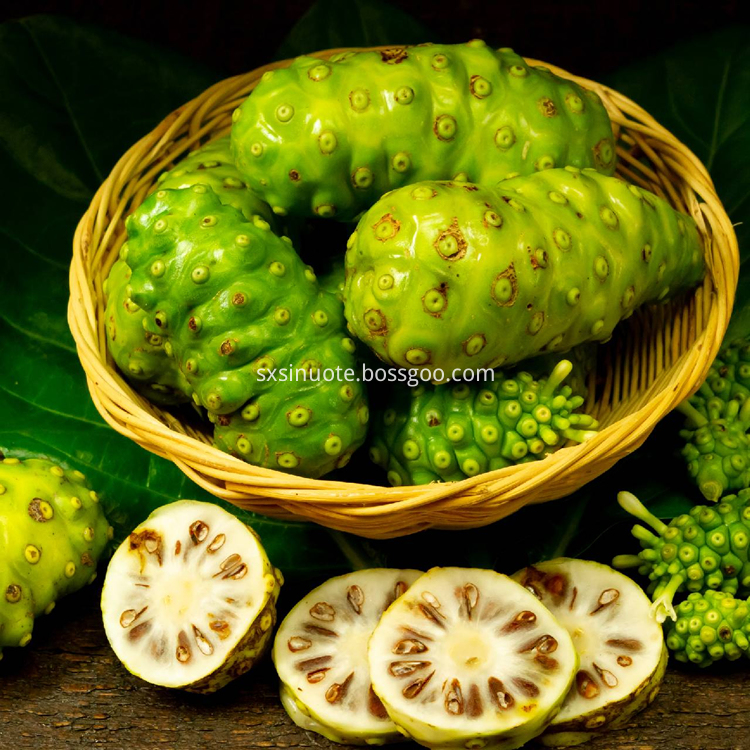 Noni Fruit Extract Noni Fruit Extract