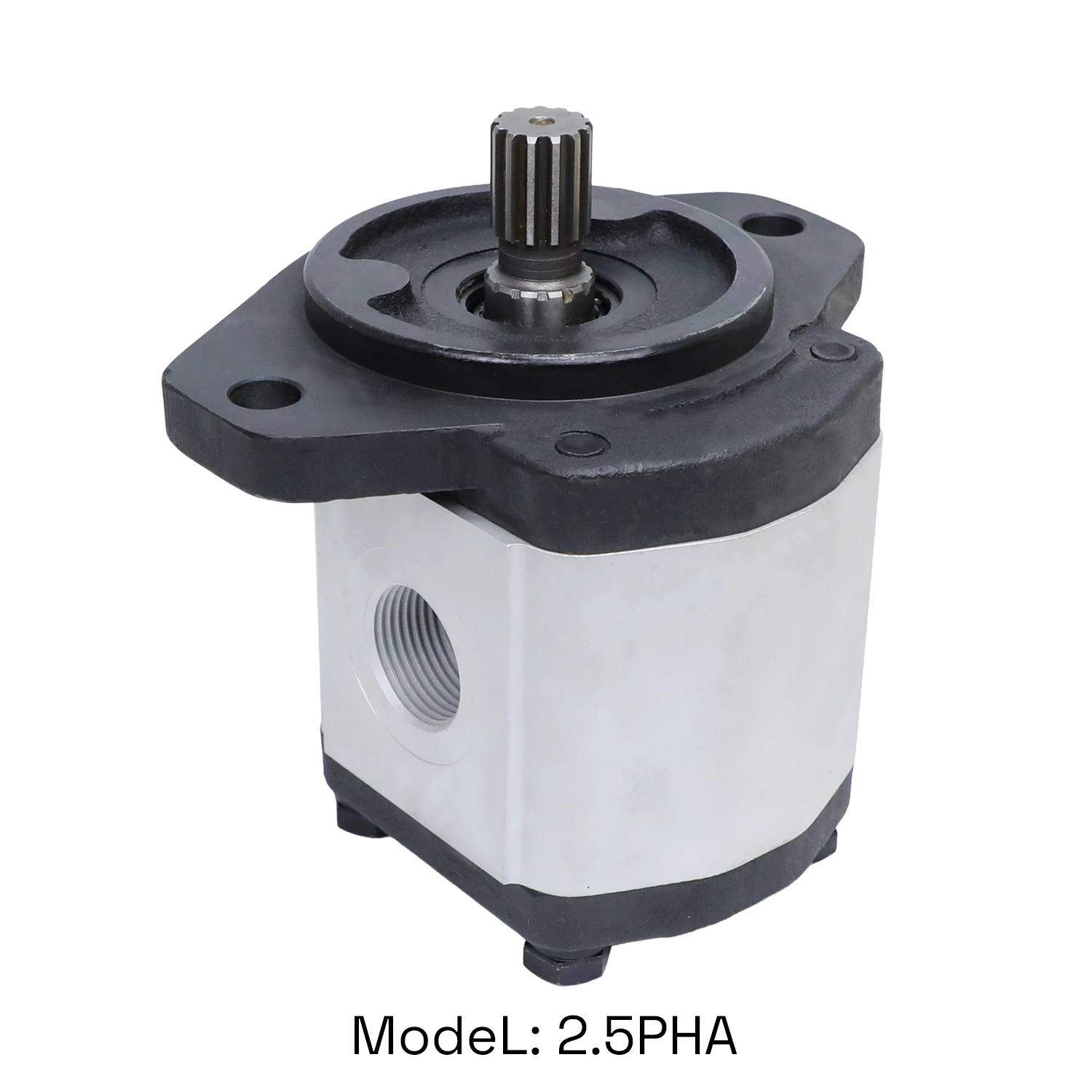 adiffer-2-5pha-group-2-5-gear-pump-mz-type-340X340 adiffer-2-5pha-group-2-5-gear-pump-mz-type-340X340
