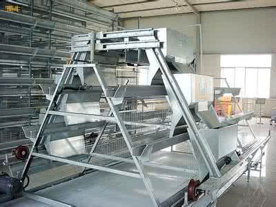 A type layer farming system A type layer farming system