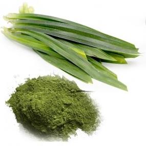 Pandan Powder Pandan Powder