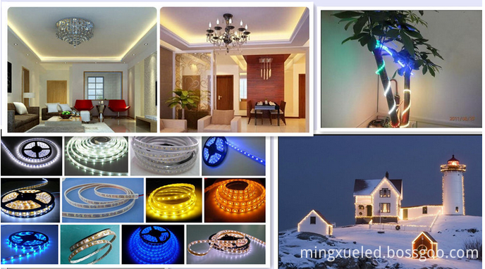 smd2835 led strip light product show