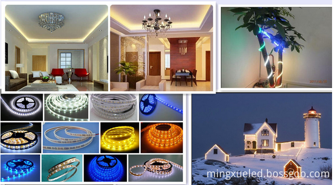 SMD 5050 Led strip light