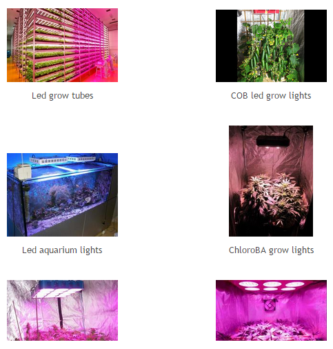 Gardening Grow LED Lights