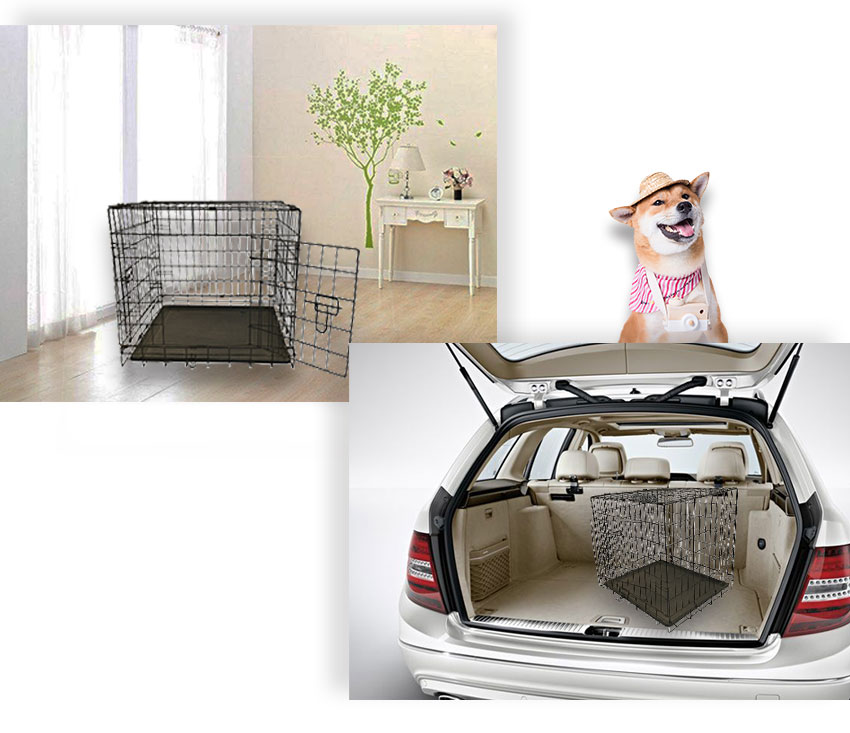 chien-cage03 dog-cage03