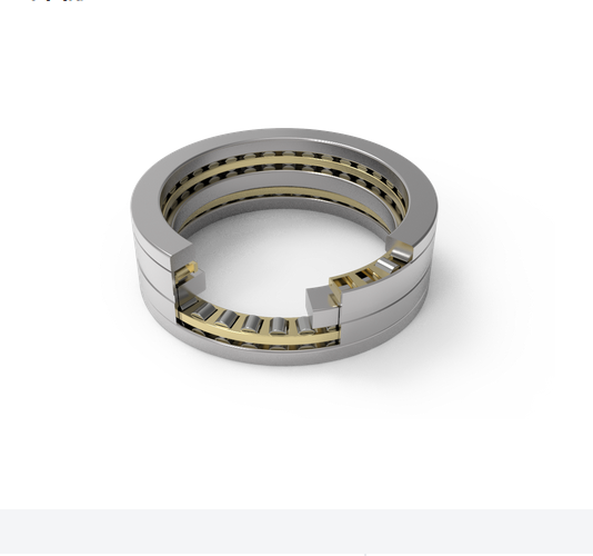Bidirectional Thrust Cylindrical Roller Bearing Bidirectional Thrust Cylindrical Roller Bearing