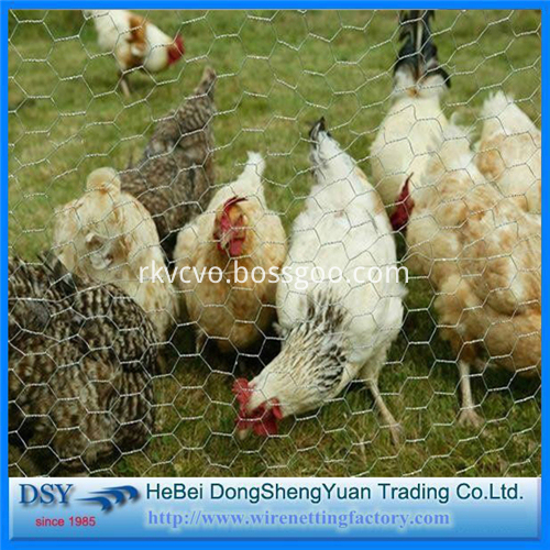 hexagonal wire mesh hexagonal wire mesh