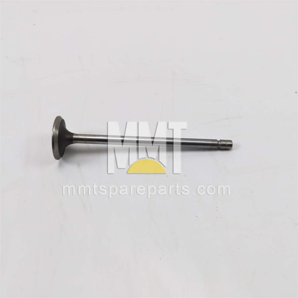 Inlet Valve 490-1729 Inlet Valve 490-1729