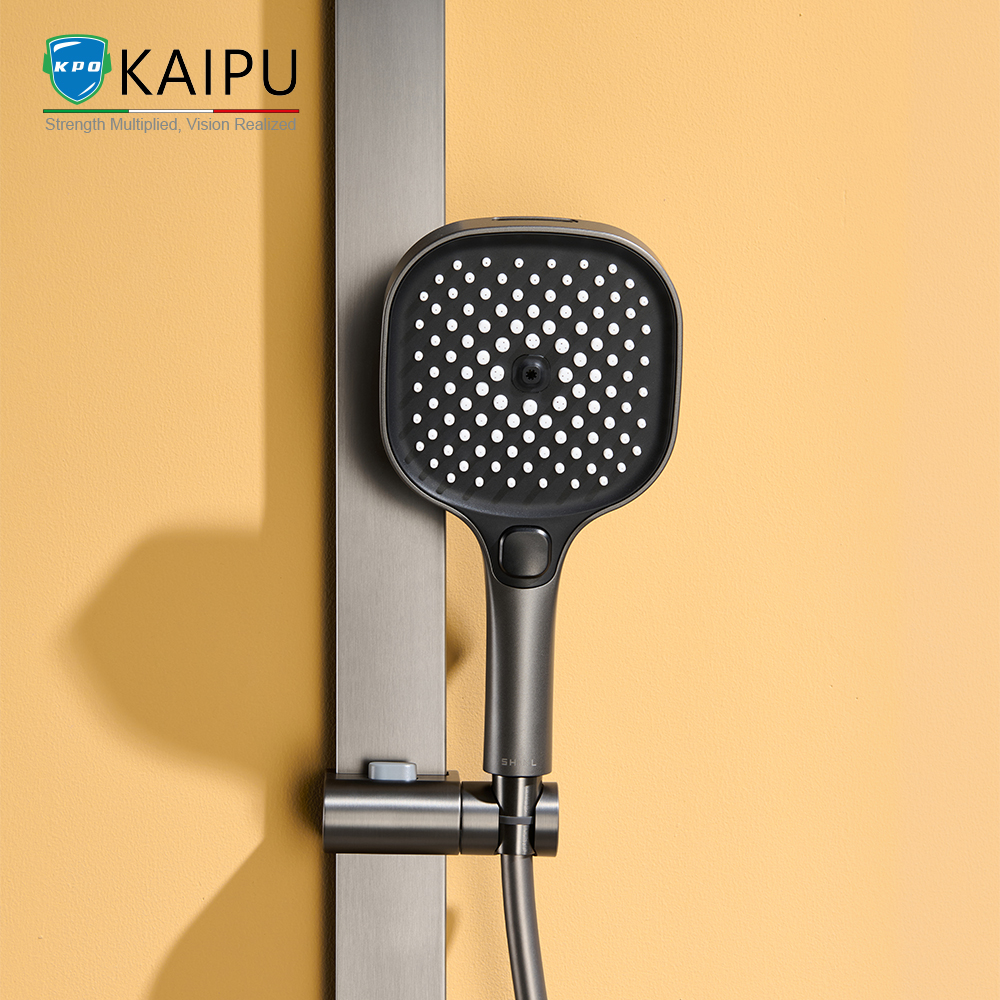 shower system (31) shower system (31)