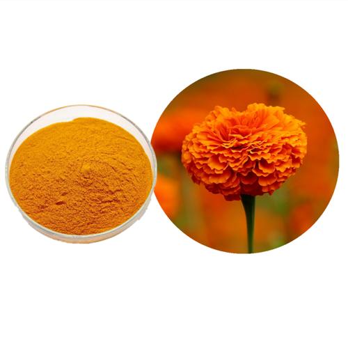 Marigold Flower Extract Marigold Flower Extract