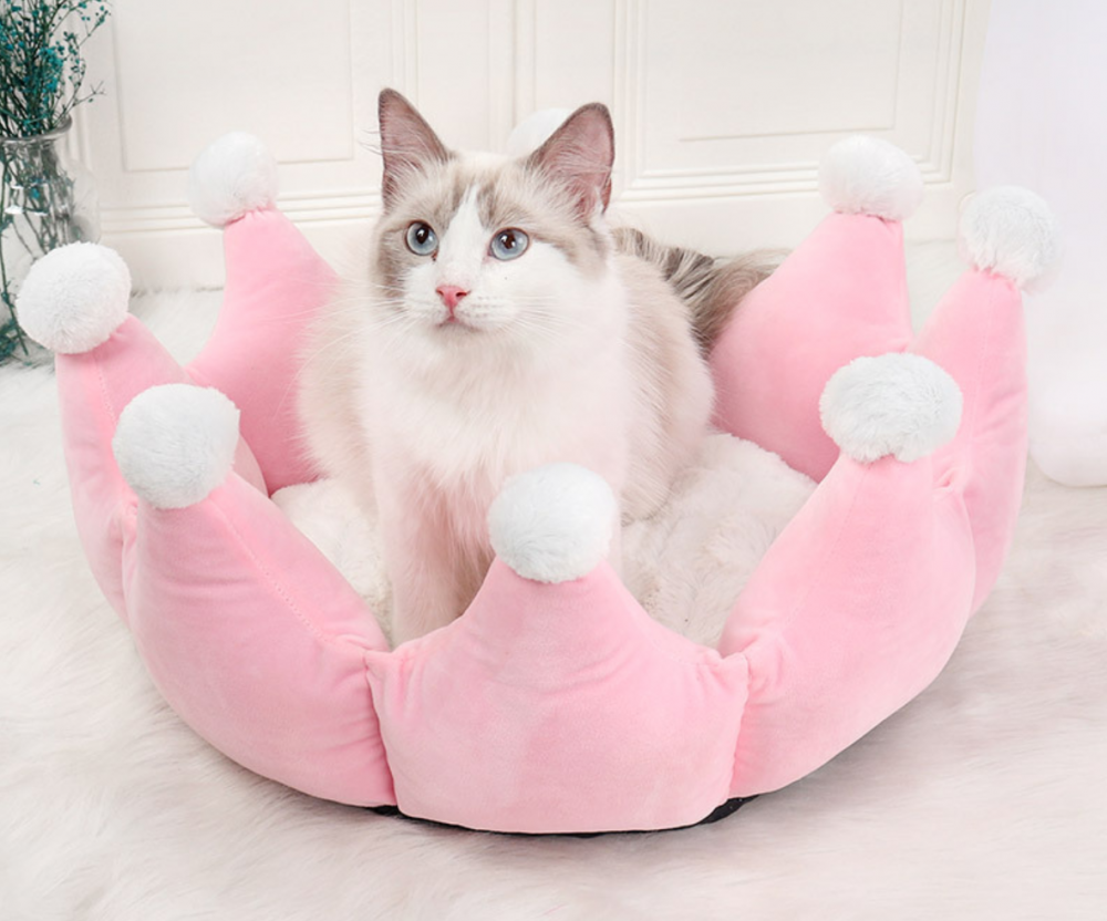 Pet Bed Petsmart Pet Bed Petsmart