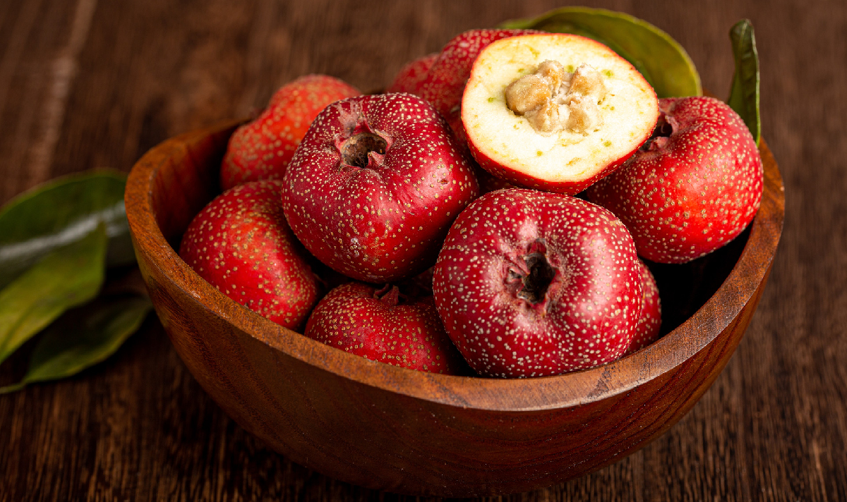 Hawthorn-Berry-Extract Hawthorn-Berry-Extract