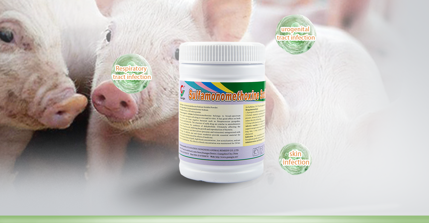 _20250417142921 _20250417142921