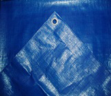 Blue Tarpaulin