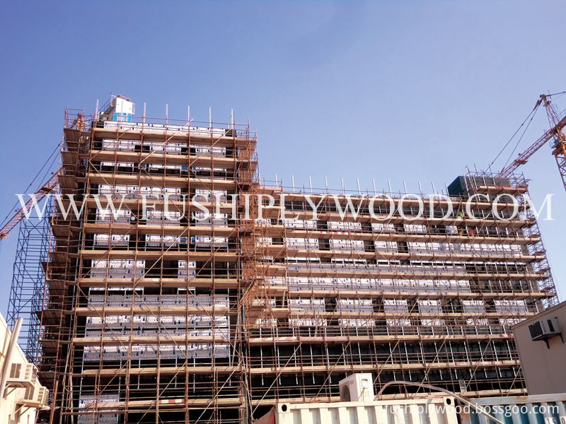 LVL SCAFFOLD PLANK