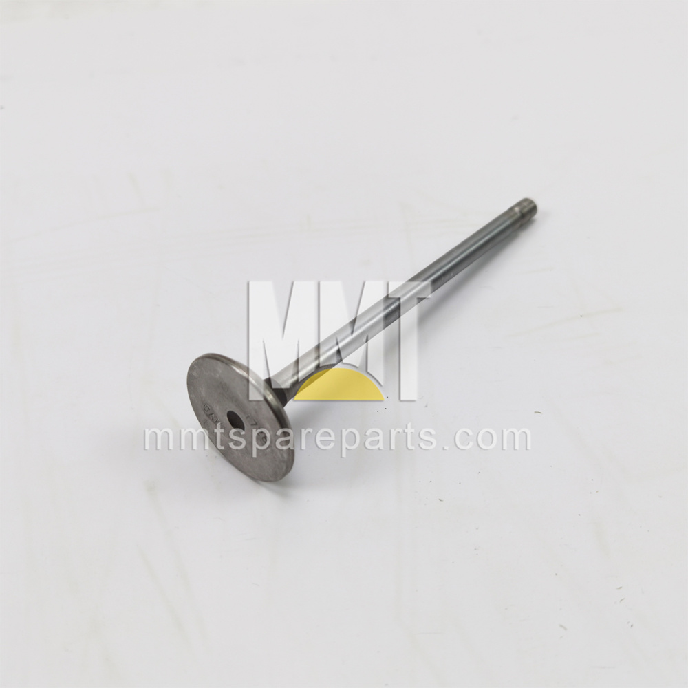 Inlet Valve 490-1729 Inlet Valve 490-1729