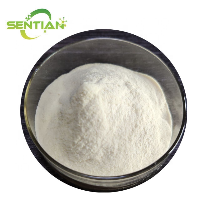Cellulase Enzyme Cellulase Enzyme