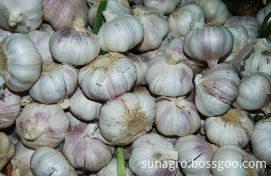 Lots of garlic