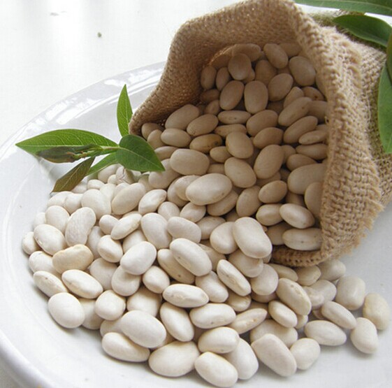 White kidney bean White kidney bean