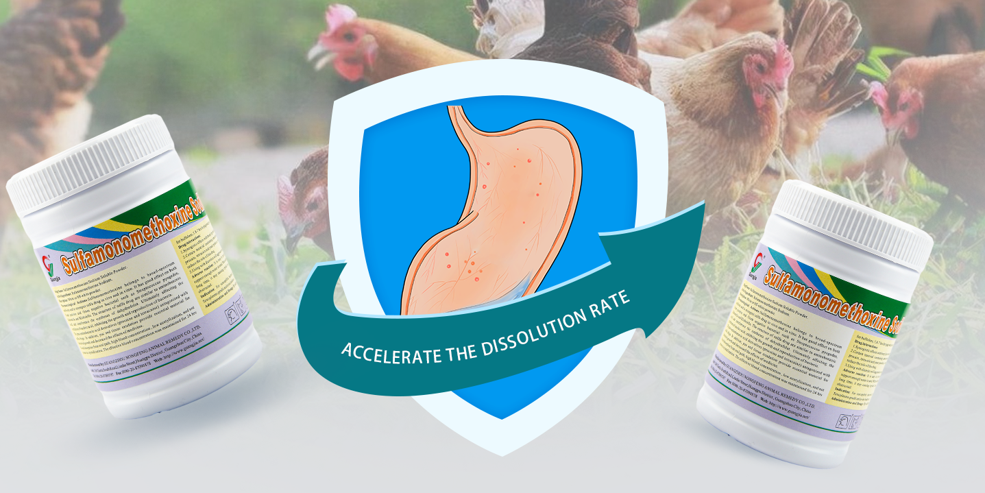 _20250417142952 _20250417142952