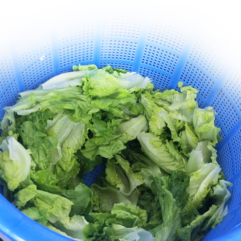 Vegetable dewatering machine Vegetable dewatering machine
