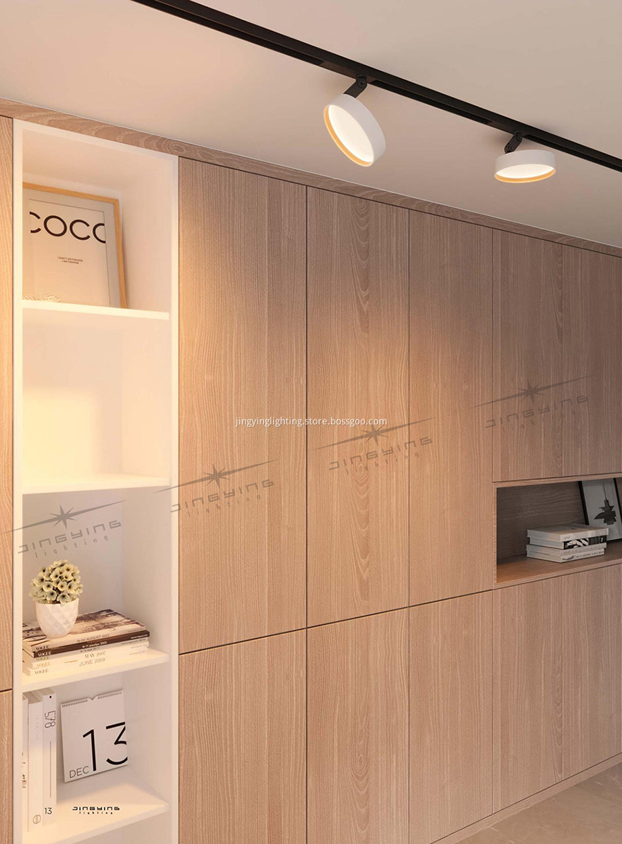 Magnetic Downlight LSA8 (1) Magnetic Downlight LSA8 (1)