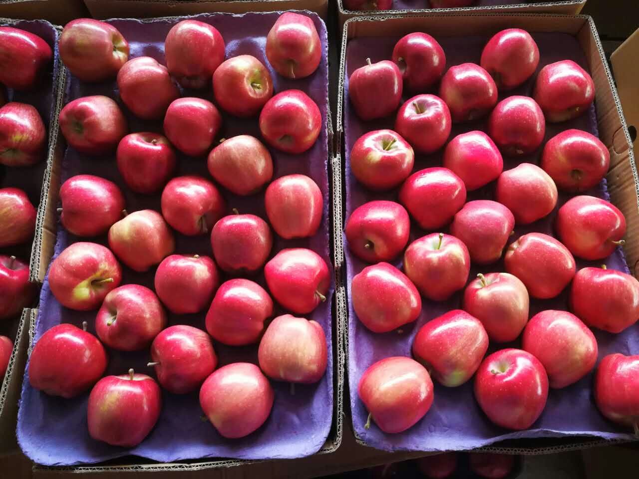 Huaniu Apple Huaniu Apple