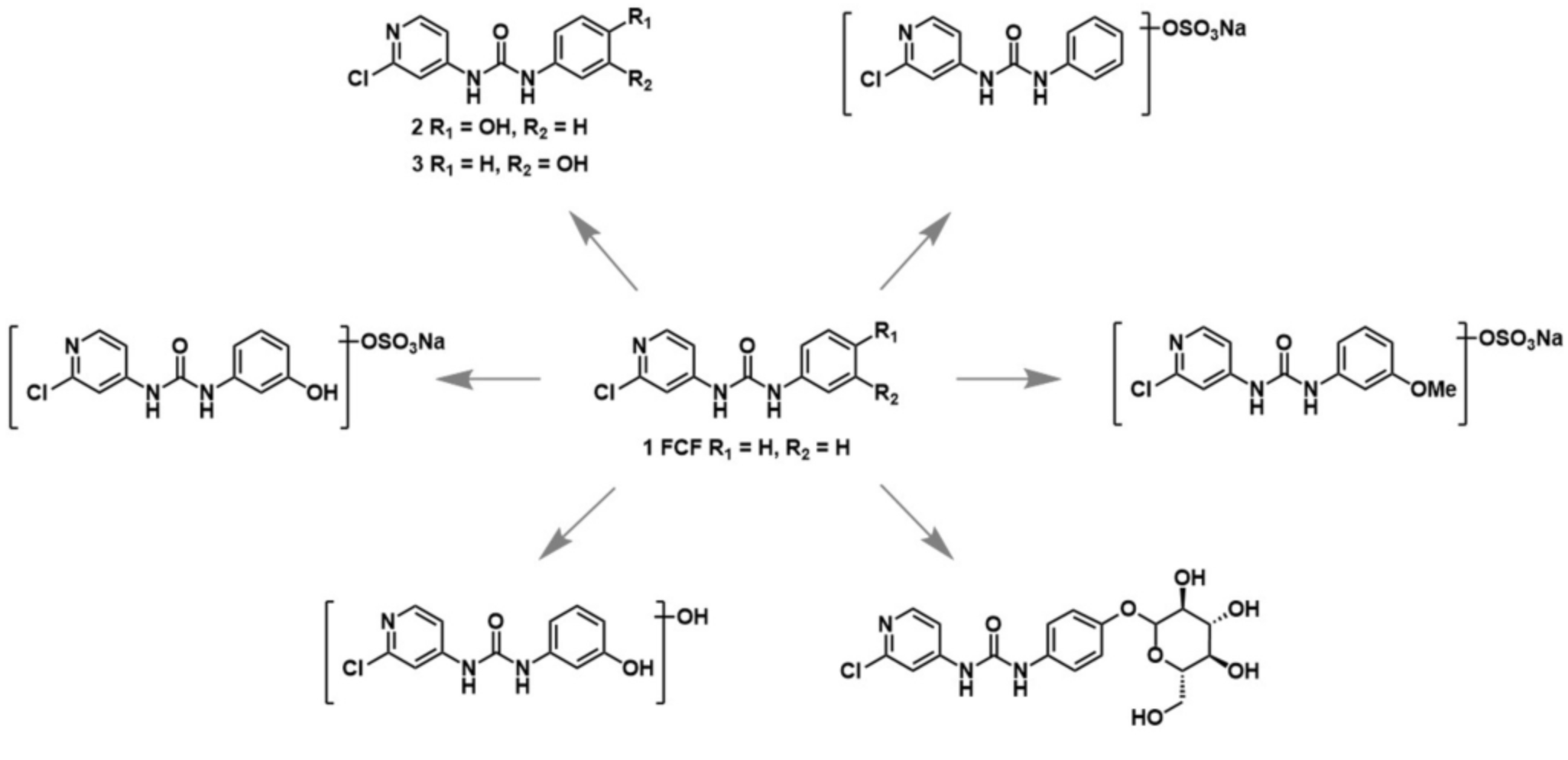 Cytokinin Plant Growth Regulator Cytokinin Plant Growth Regulator