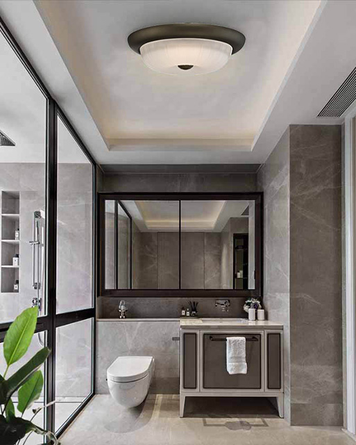 Zdc 2069 11a Min Indoor Ceiling Light Zdc 2069 11a Min Indoor Ceiling Light