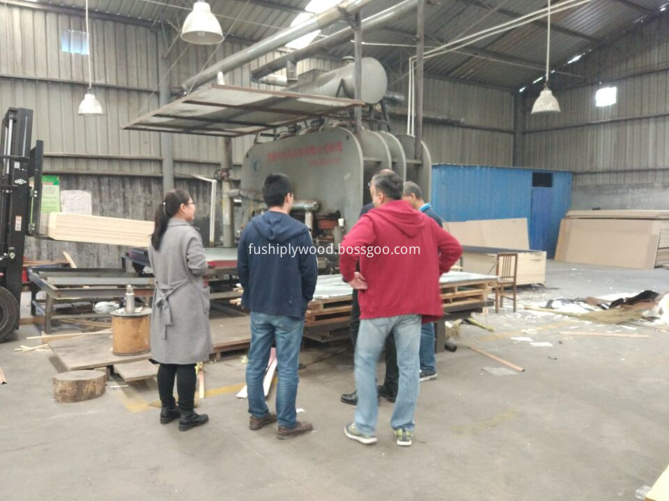 mdf factory. 