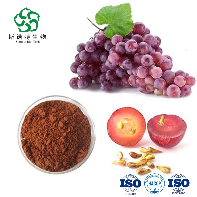Grape Seed Extract Grape Seed Extract