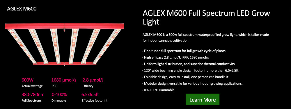 Aglex M600