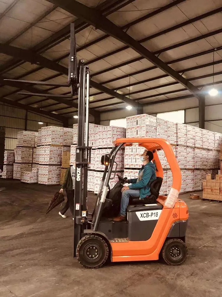 AC Motor Electric Forklift AC Motor Electric Forklift