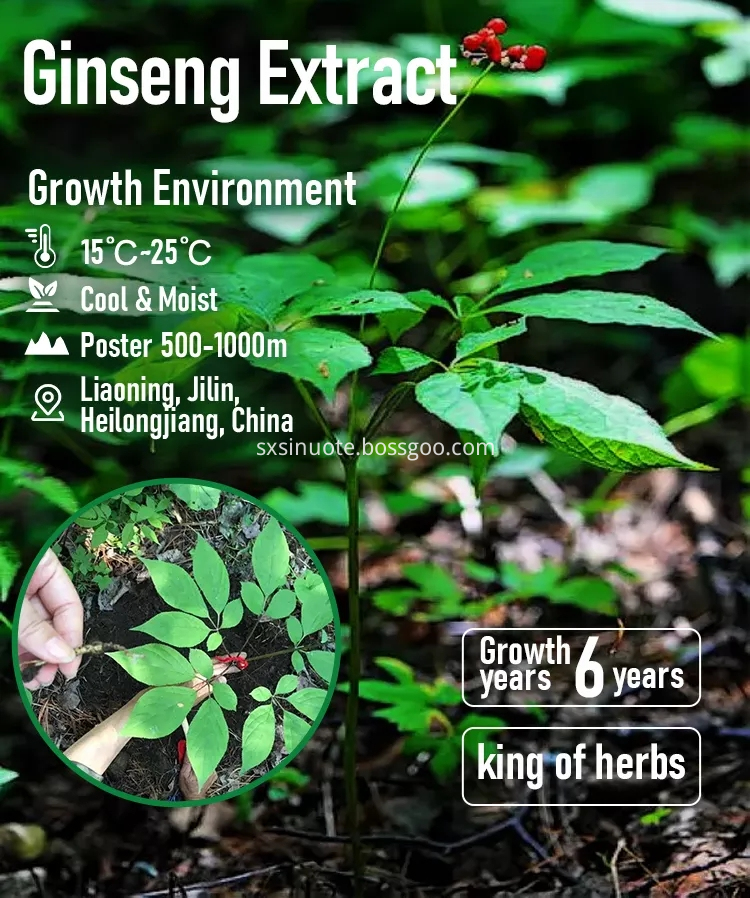Ginseng Root Extract Ginseng Root Extract