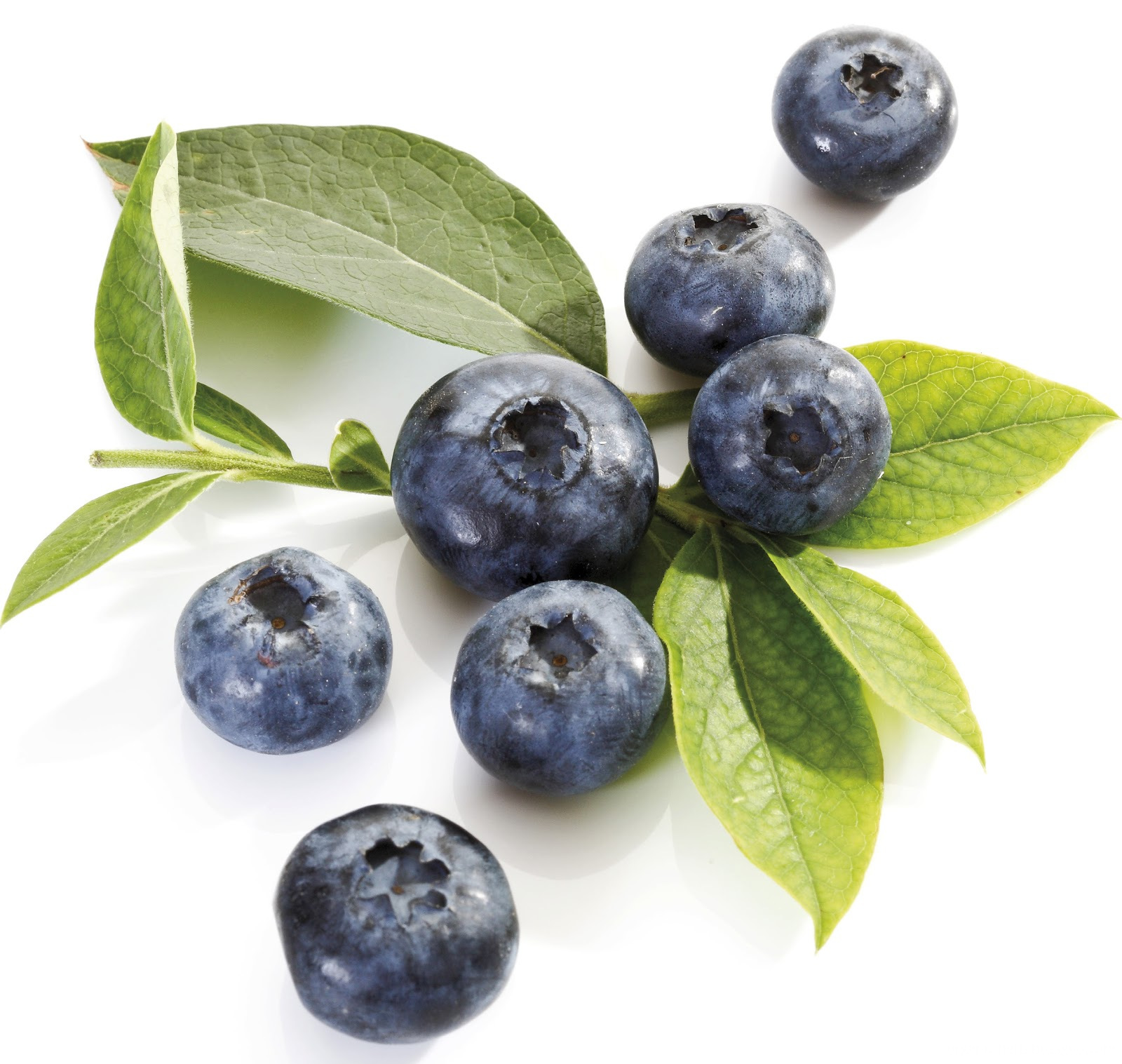 Blueberry-fruit-34914645-1600-1517