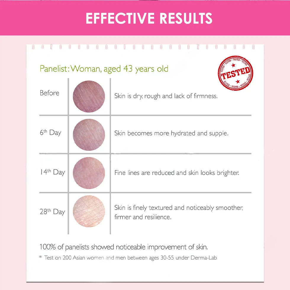 Collagen Introduce 6 Collagen Introduce 6