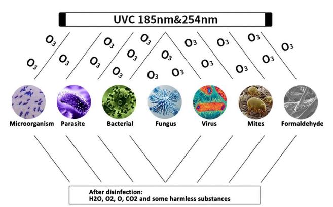 Uv Disinfection Light 00 Uv Disinfection Light 00