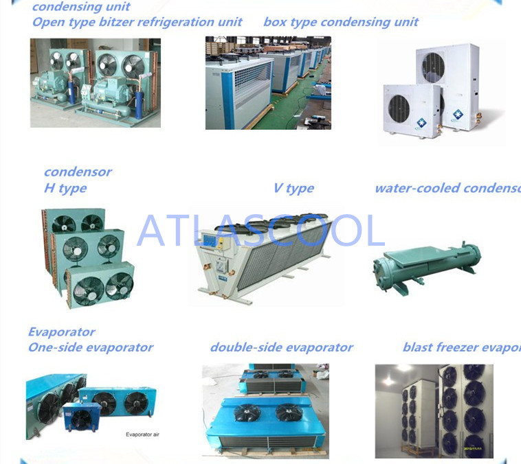 Walk in Freezer Condensing Unit and Evaporator Walk in Freezer Condensing Unit and Evaporator