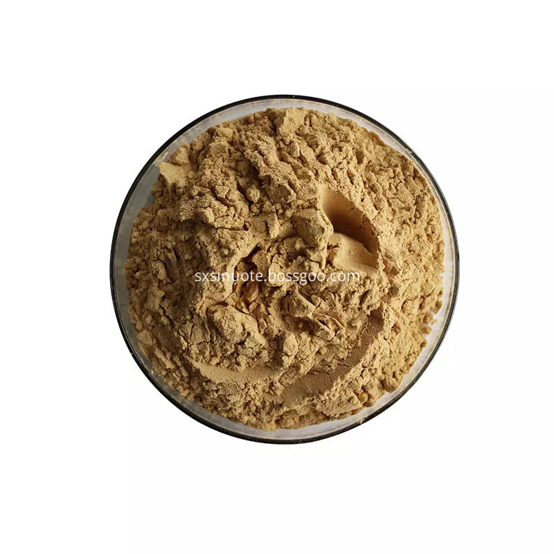 Oyster Powder Oyster Powder