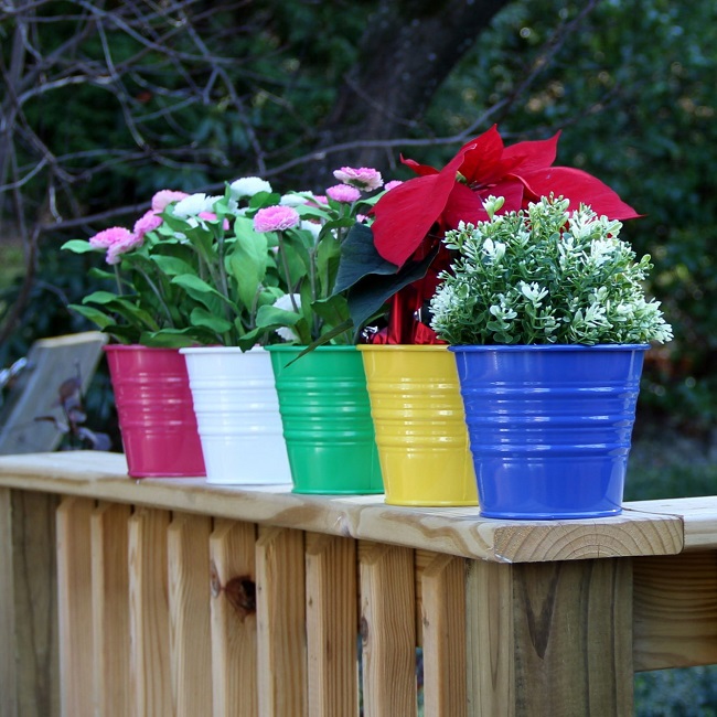 Set Planters