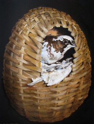 Birds in rattan bird nest