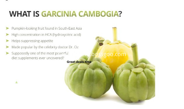 Garcinia Cambogia Powder 1 Garcinia Cambogia Powder 1